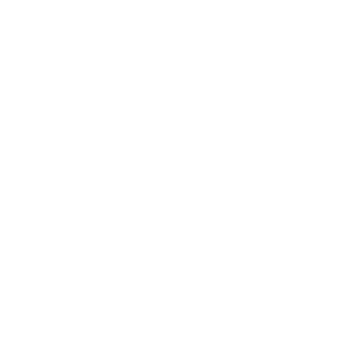 Phone (disabled)